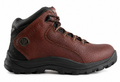 BOTIN EDELBROCK ED 110